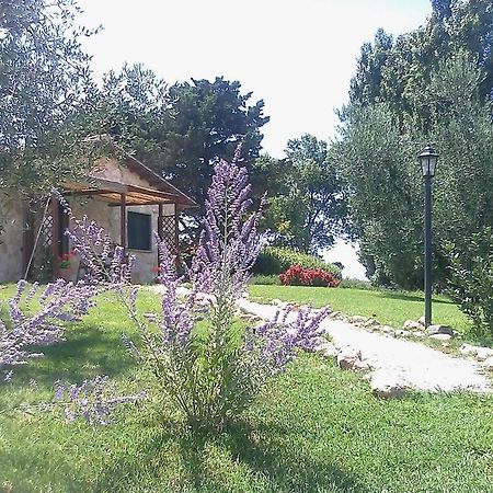 Casale Dinelli Villa Tarquinia Bilik gambar