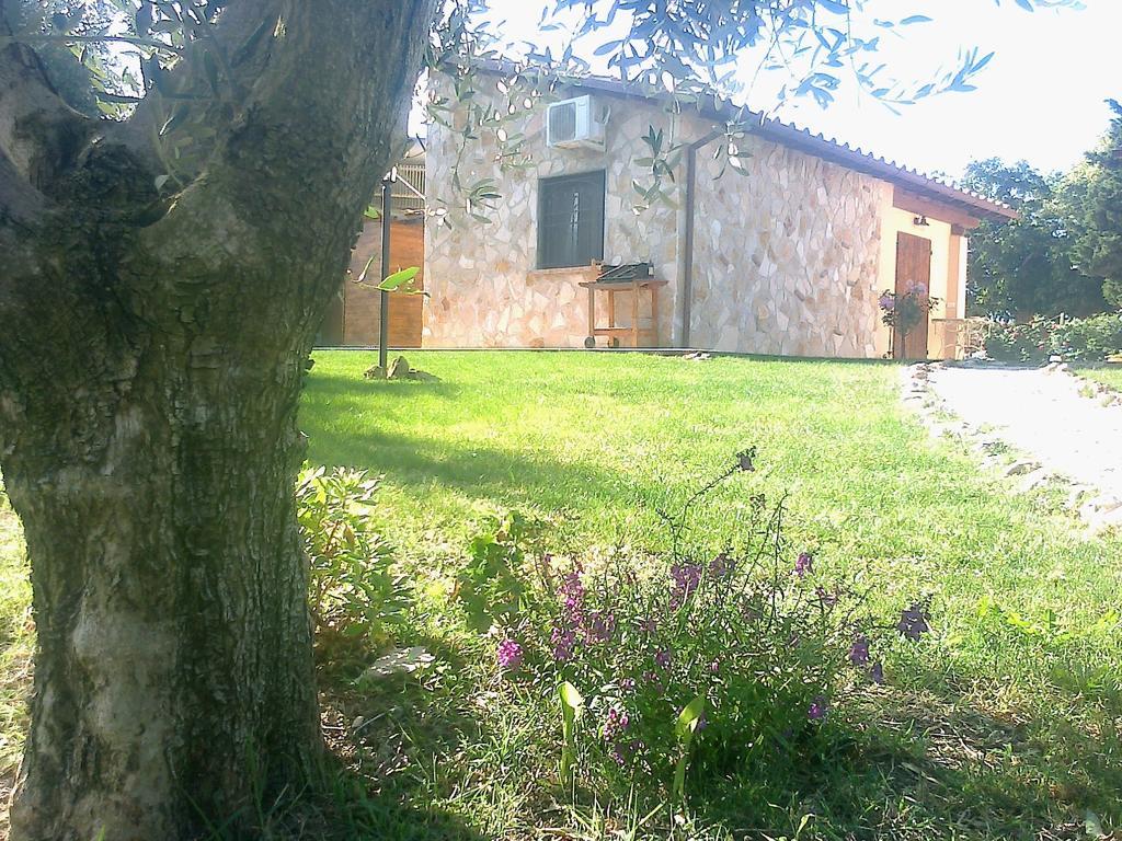 Casale Dinelli Villa Tarquinia Bilik gambar